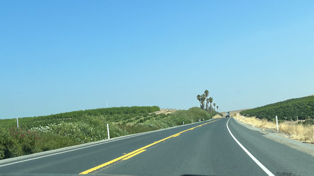 There are a number of hilly orchards on part of the drive from Barstow to Sequoia National Park