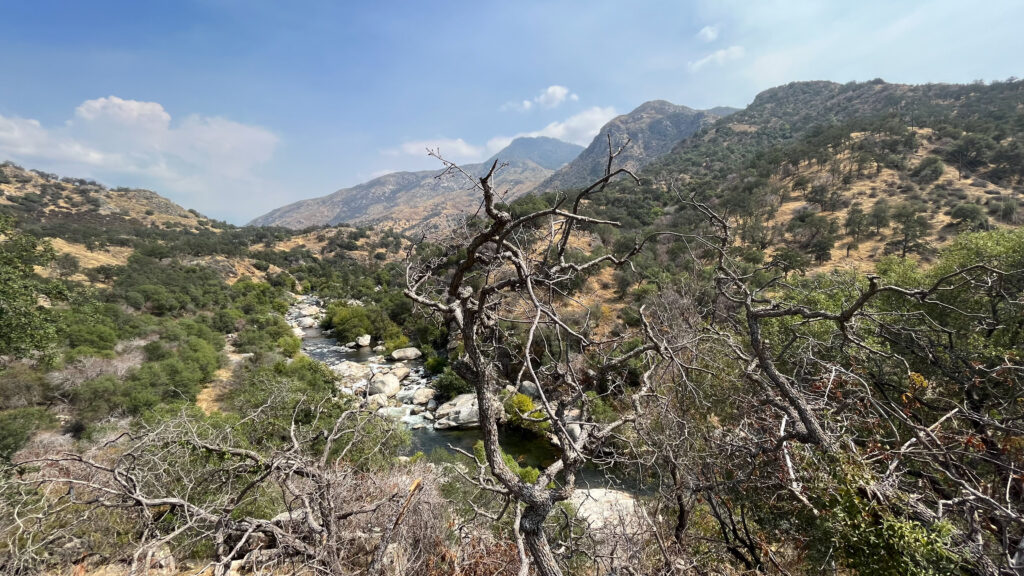 View from one of the many pullovers on the way to Sequoia National Forest