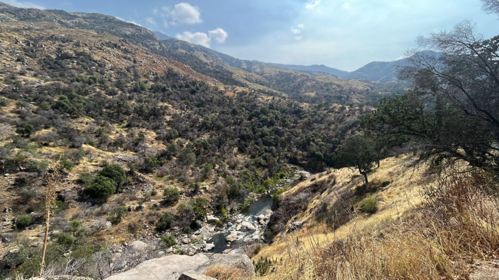 Another scenic pullover (In Sequoia National Park)