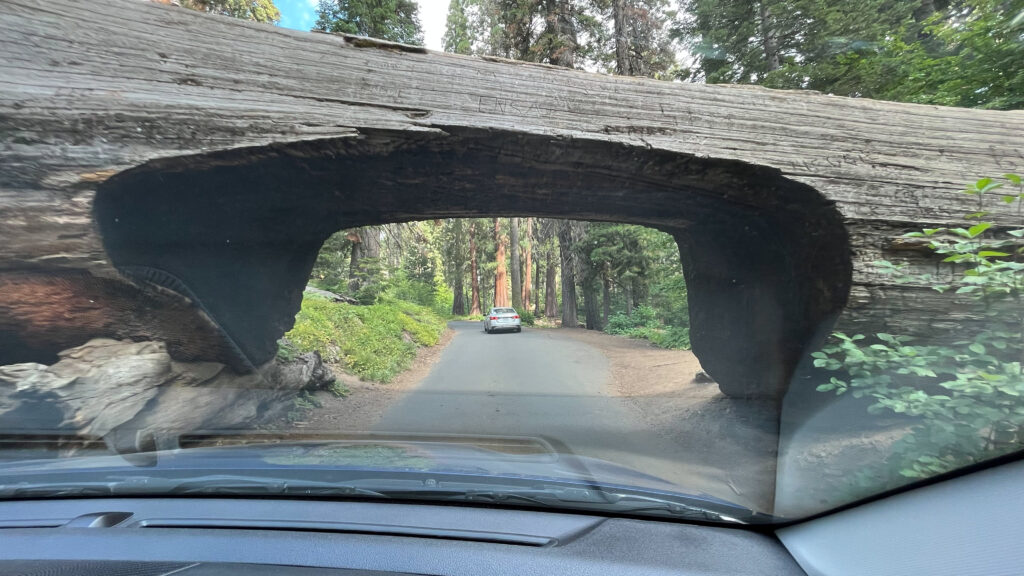 Yay! It's our turn to drive through Tunnel Log in Sequoia National Park. It's not super exciting to do, but it's still fun to do.