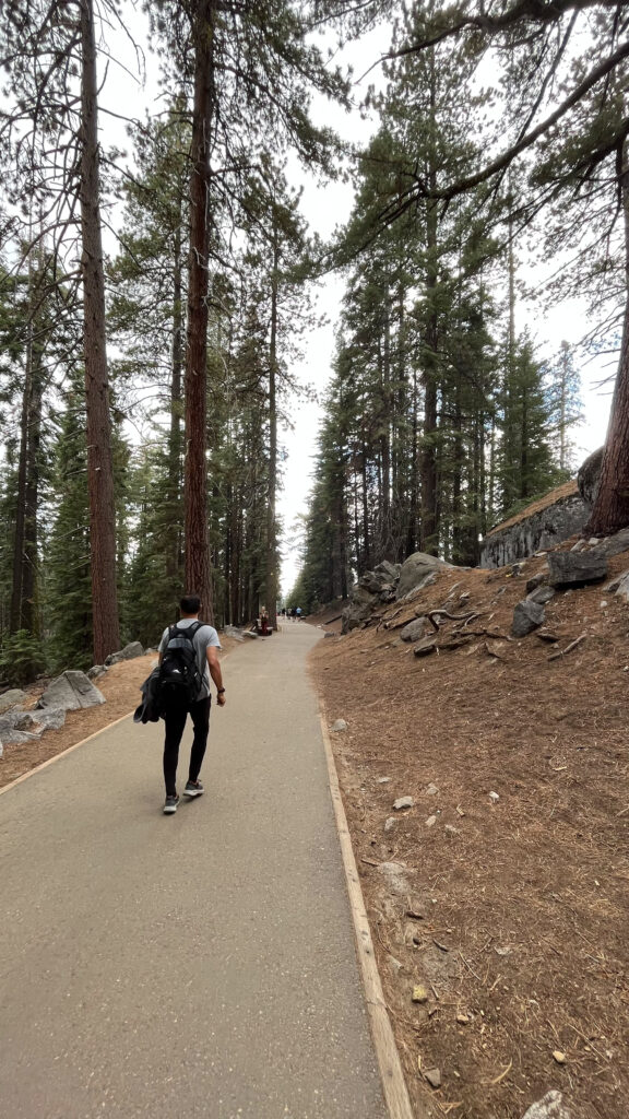 Near the beginning of the easy trail that leads to General Sherman Tree in Sequoia National Park