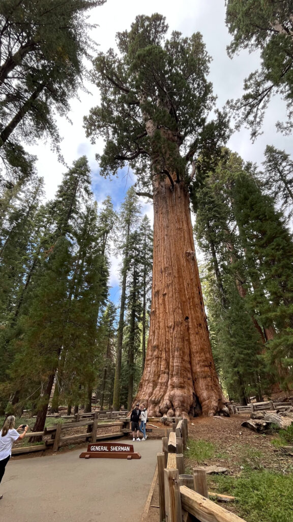 There was a short line of people waiting to take photos in front of General Sherman Tree. We opted to not wait in the line and instead get a photo of us from another angle with no line. Sure there was no sign saying "General Sherman" in our photos, but that doesn't change that it is still General Sherman Tree.