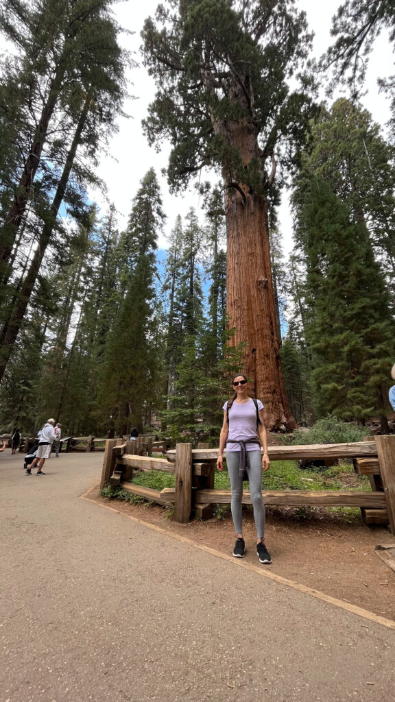 Our line free shot of me in front of General Sherman Tree has no official sign saying "General Sherman" in it, but it was much quicker! The tree doesn't look quite as big from this angle, but we can see it from the other angle in the photo above (Sequoia National Park)