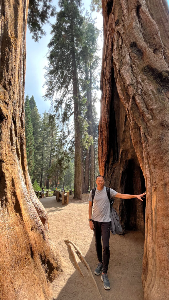 They protect General Sherman's root system by not letting visitors walk right up to it, but there are other giant sequoias in the Giant Forest Grove that you can be right next to. Those trees made us feel so small. (Sequoia National Park)