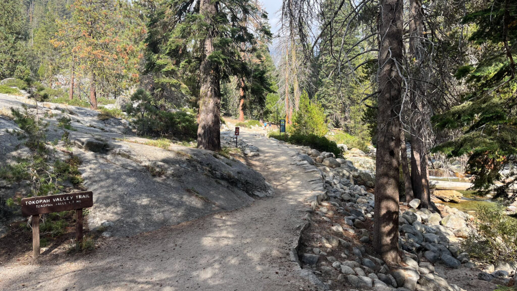 After crossing the bridge you will find the trailhead for Tokopah Falls Trail (Sequoia National Park)