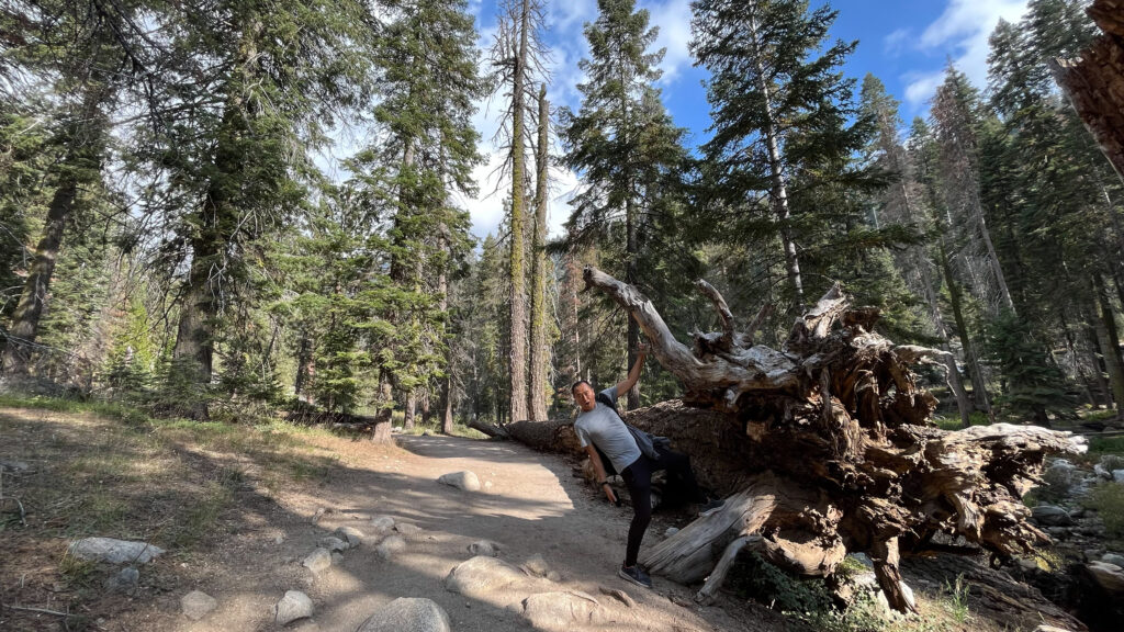 My funny guy monkeying around on Tokopah Falls Trail in Sequoia National Park