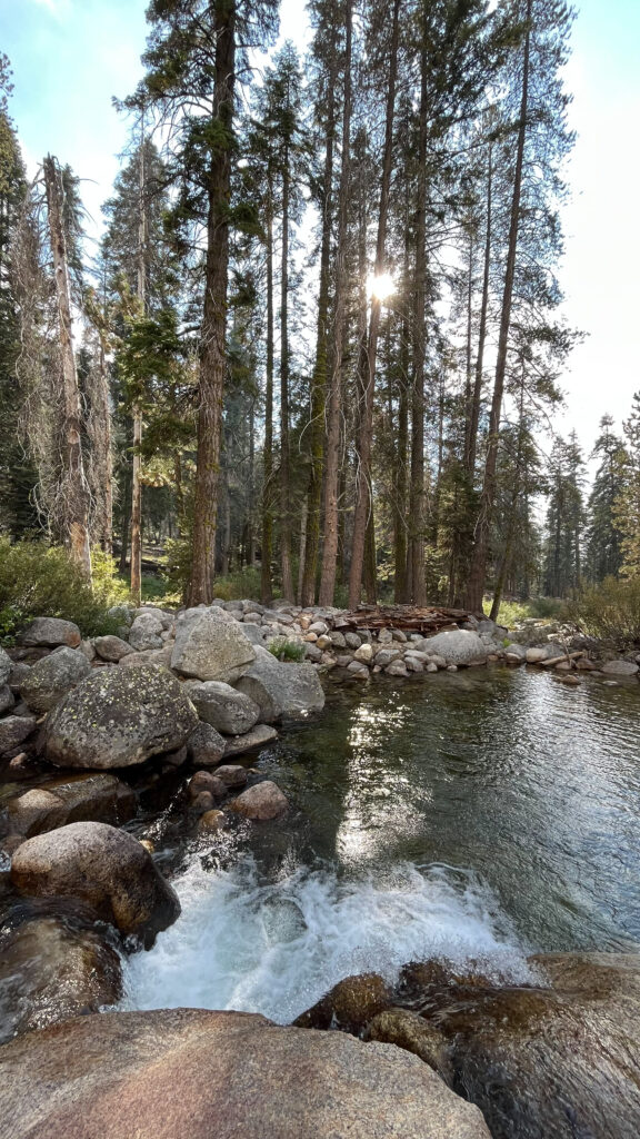 Trees, water, blue skies and sunshine made for an enjoyable hike on Tokopah Falls Trail in Sequoia National Park