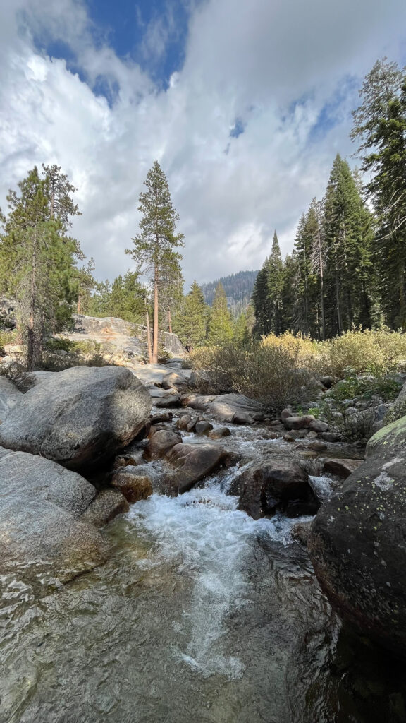 Running water along the side of Tokopah Falls Trail in Sequoia National Park (You don't have to walk here, this is on the side of the trail)