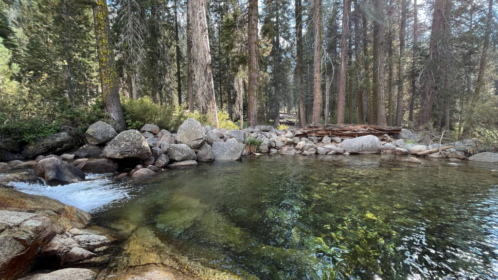 A pool of water next to Tokopah Falls Trail in Sequoia National Park