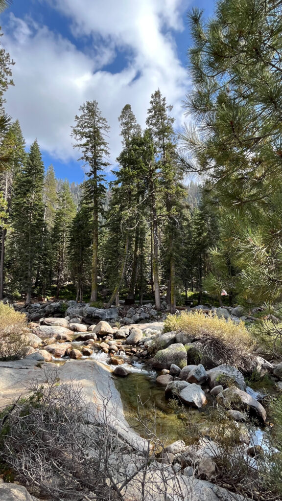 We were about eight minutes into the hike at this point (with fairly level ground up to this point) on Tokopah Falls Trail in Sequoia National Park, so if you know you can't make it to the falls, maybe you can make it to some of the beautiful sites before the falls