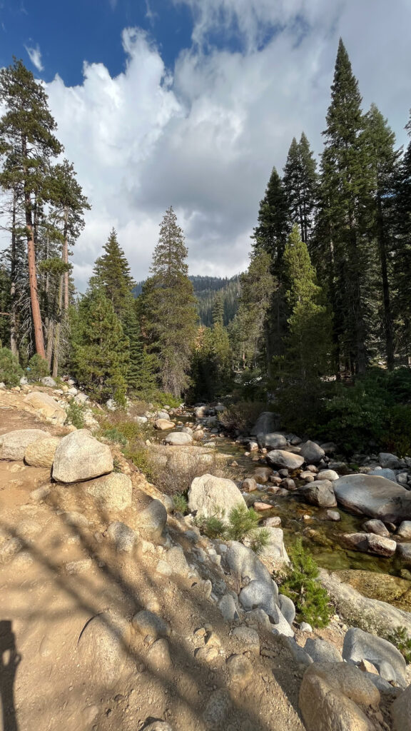 We were about nine minutes into the hike at this point on Tokopah Falls Trail in Sequoia National Park