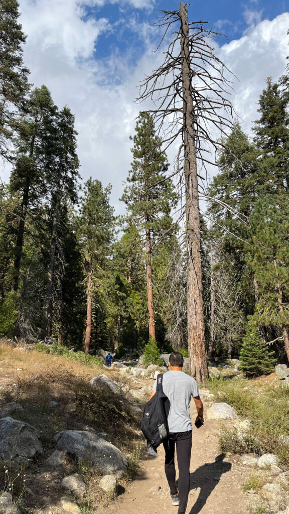 A fairly easy section of Tokopah Falls Trail in Sequoia National Park