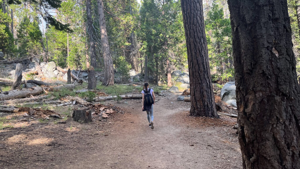 A fairly easy section of Tokopah Falls Trail in Sequoia National Park