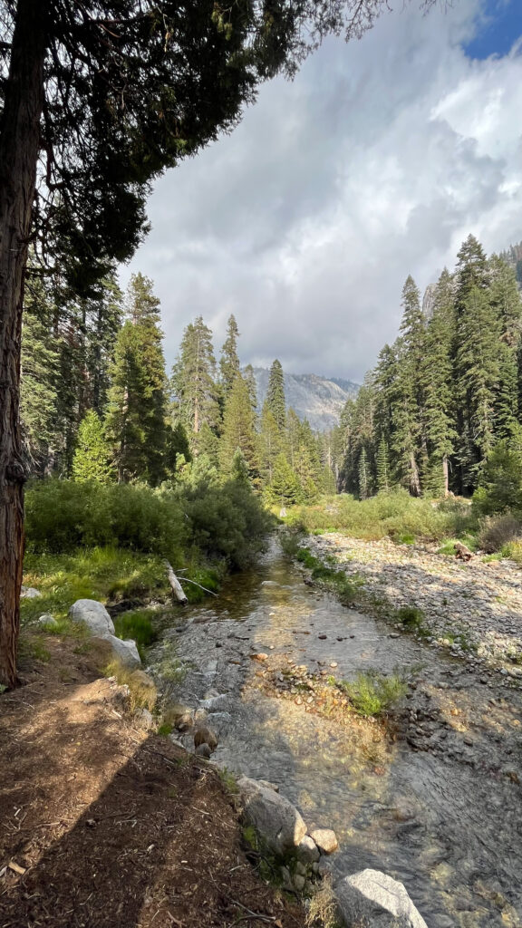 About 23 minutes into our hike on Tokopah Falls Trail in Sequoia National Park (The water was next to the trail, not on it)