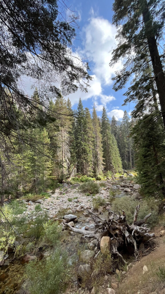 About 27 minutes into our hike on Tokopah Falls Trail in Sequoia National Park. 