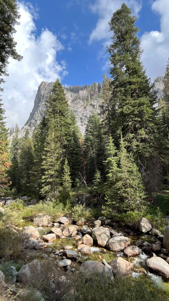 About 28 minutes into our hike on Tokopah Falls Trail in Sequoia National Park.