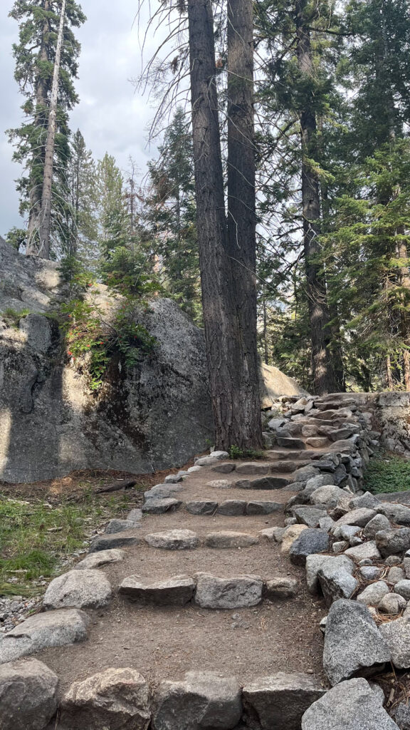 Part of Tokopah Falls Trail in Sequoia National Park (about 30 minutes into our hike)