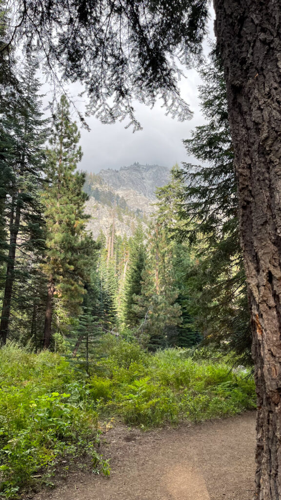 Part of Tokopah Falls Trail in Sequoia National Park (about 37 minutes into our hike)