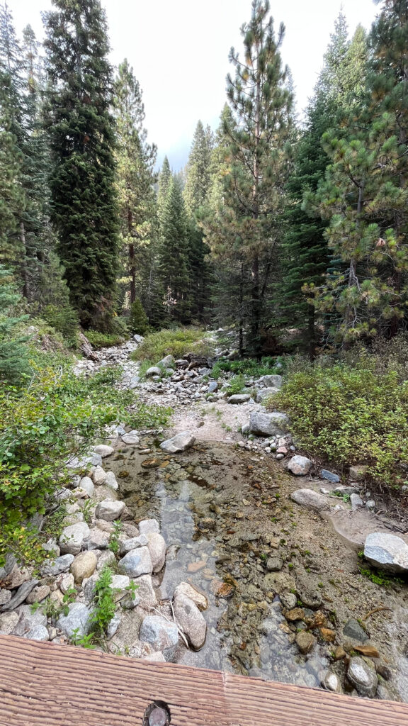 Part of Tokopah Falls Trail in Sequoia National Park (about 39 minutes into our hike)