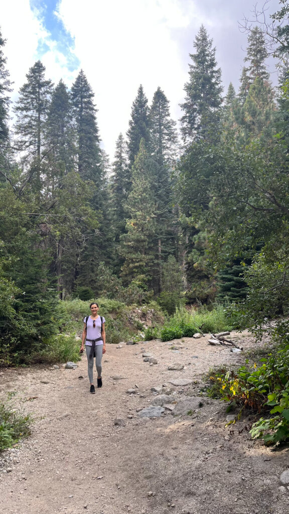 Part of Tokopah Falls Trail in Sequoia National Park (about 39 minutes into our hike)