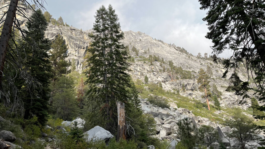 Part of Tokopah Falls Trail in Sequoia National Park (about 44 minutes into our hike)