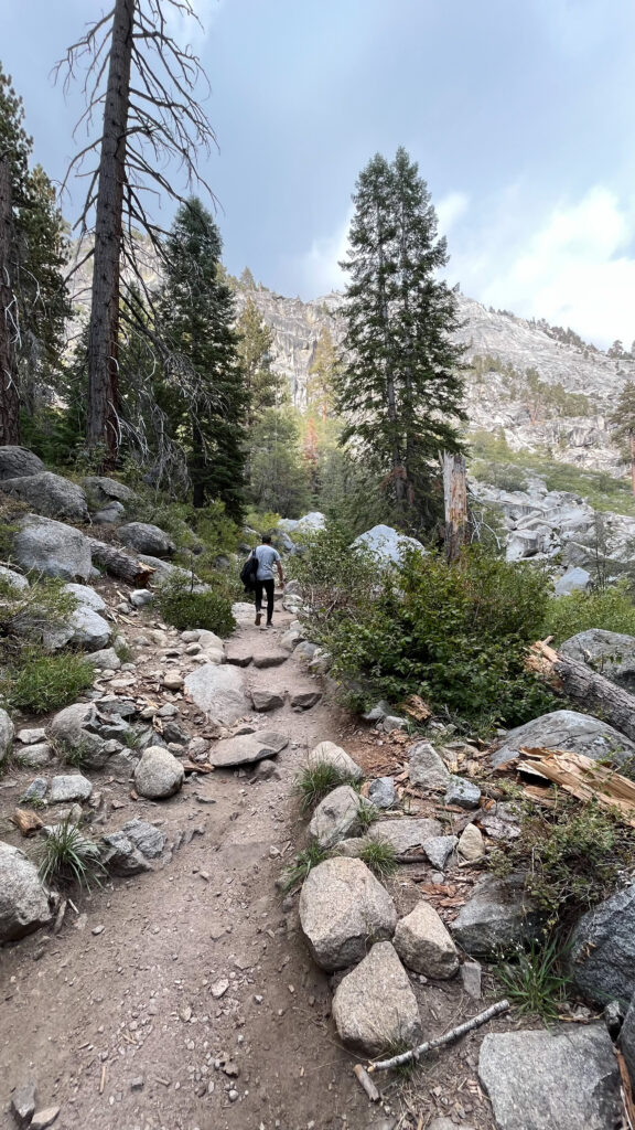 Part of Tokopah Falls Trail in Sequoia National Park (about 44 minutes into our hike)