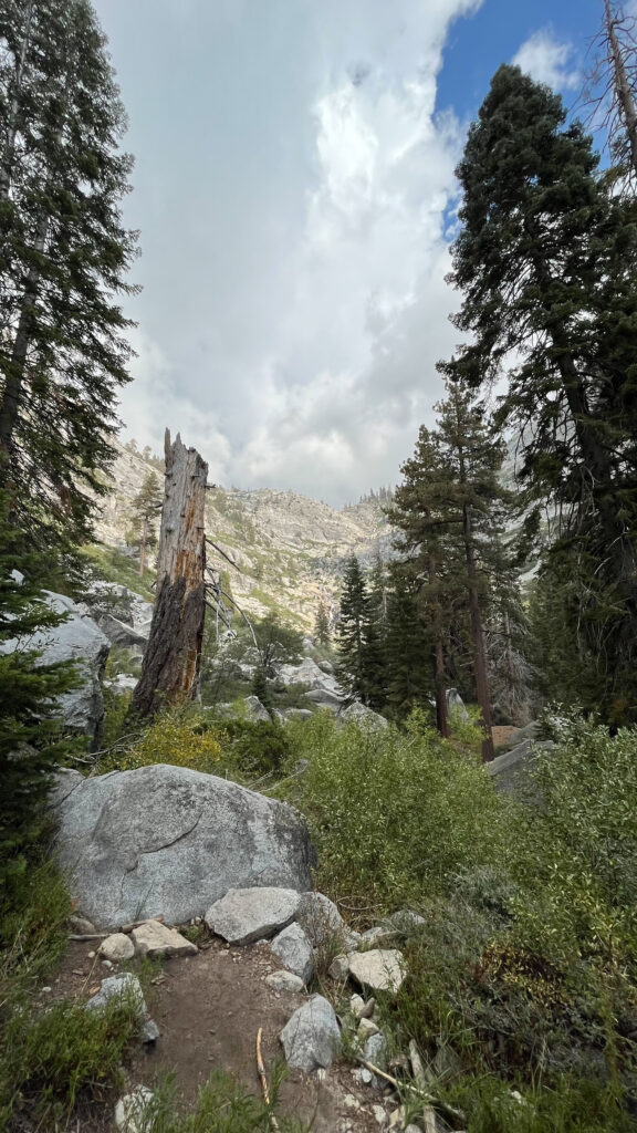 Part of Tokopah Falls Trail in Sequoia National Park (about 44 minutes into our hike)