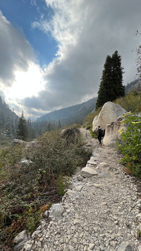 Time to head back (Tokopah Falls Trail in Sequoia National Park)