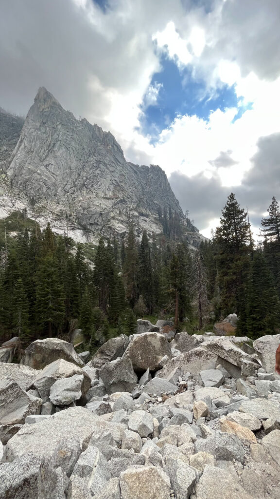 Another scenic shot on our way back (Tokopah Falls Trail in Sequoia National Park)