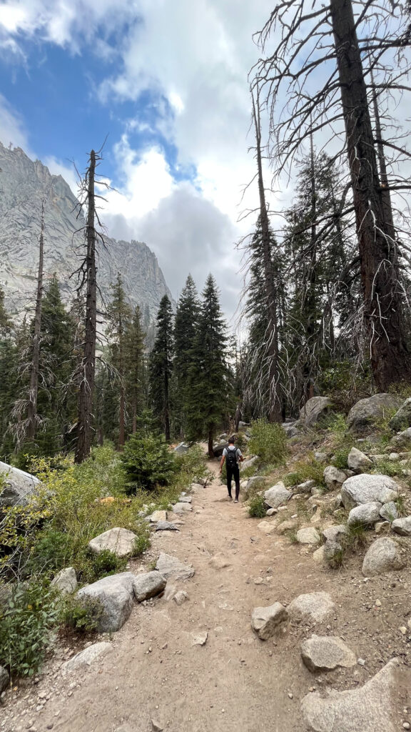 Tokopah Falls Trail in Sequoia National Park is such a pretty hike