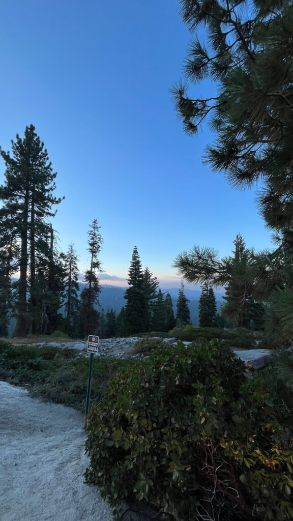 The sun was getting close to setting as we drove through Sequoia National Park