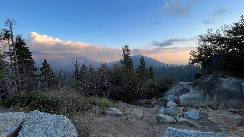 The sun was getting close to setting as we drove through Sequoia National Park