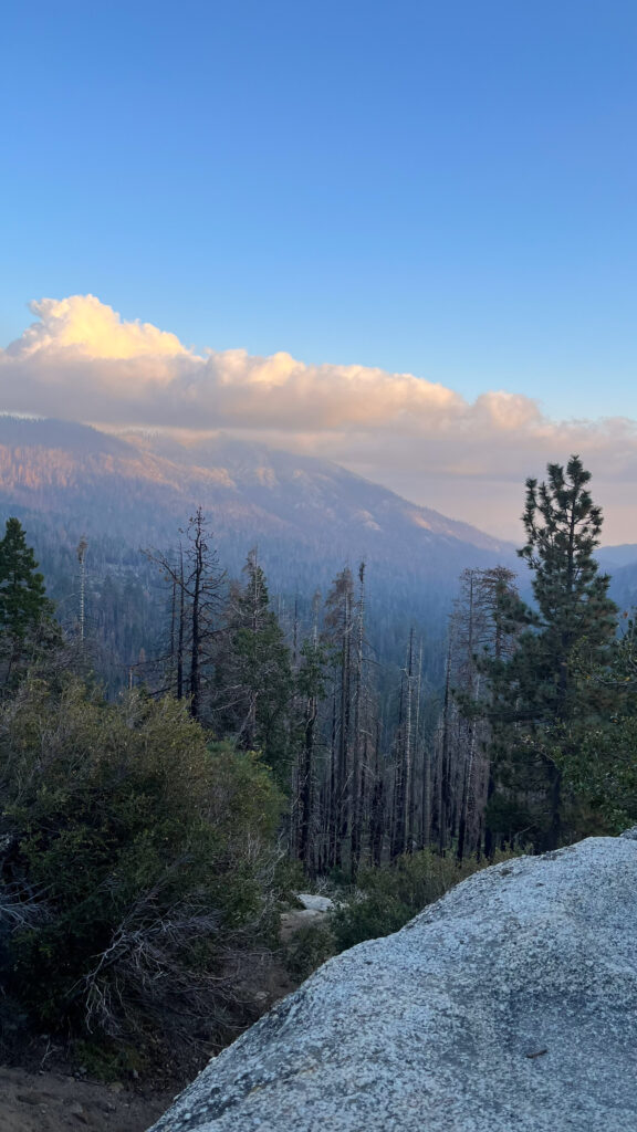 The sun was getting close to setting as we drove through Sequoia National Park