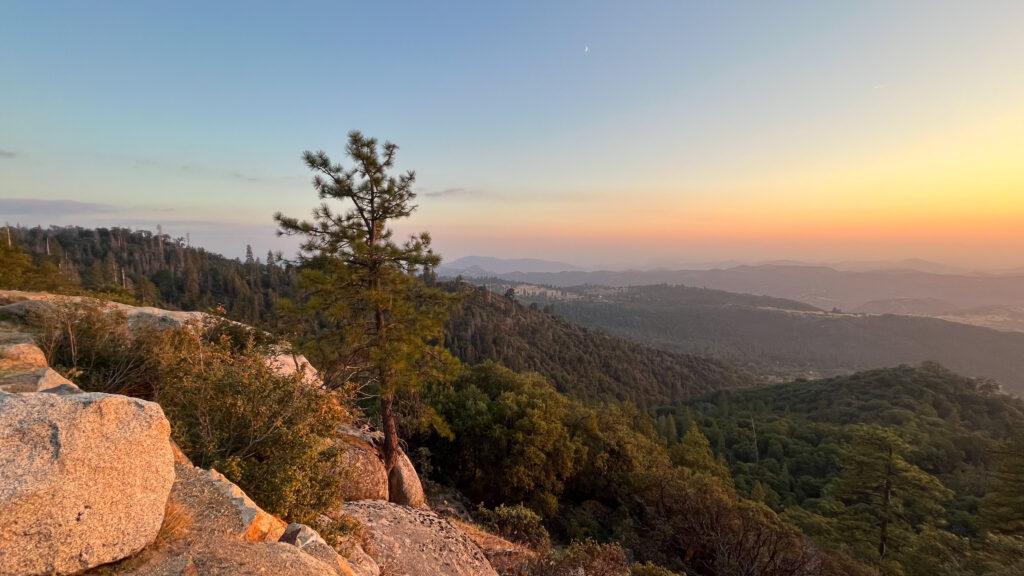 The sun was about to set as we drove through Sequoia National Park