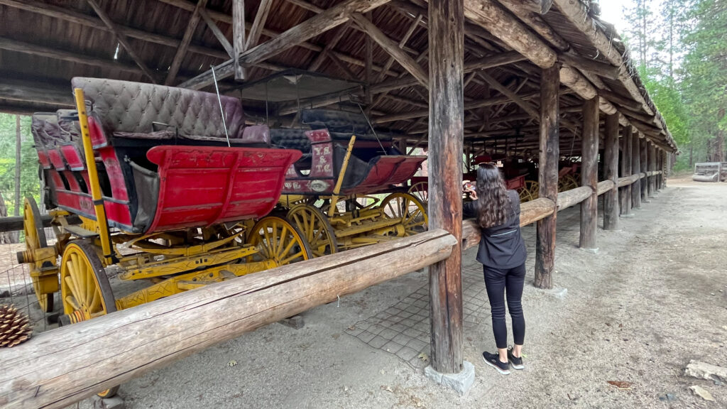 Stagecoaches at Pioneer Yosemite History Center in Yosemite National Park