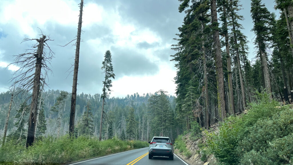 Driving to our next stop in Yosemite National Park