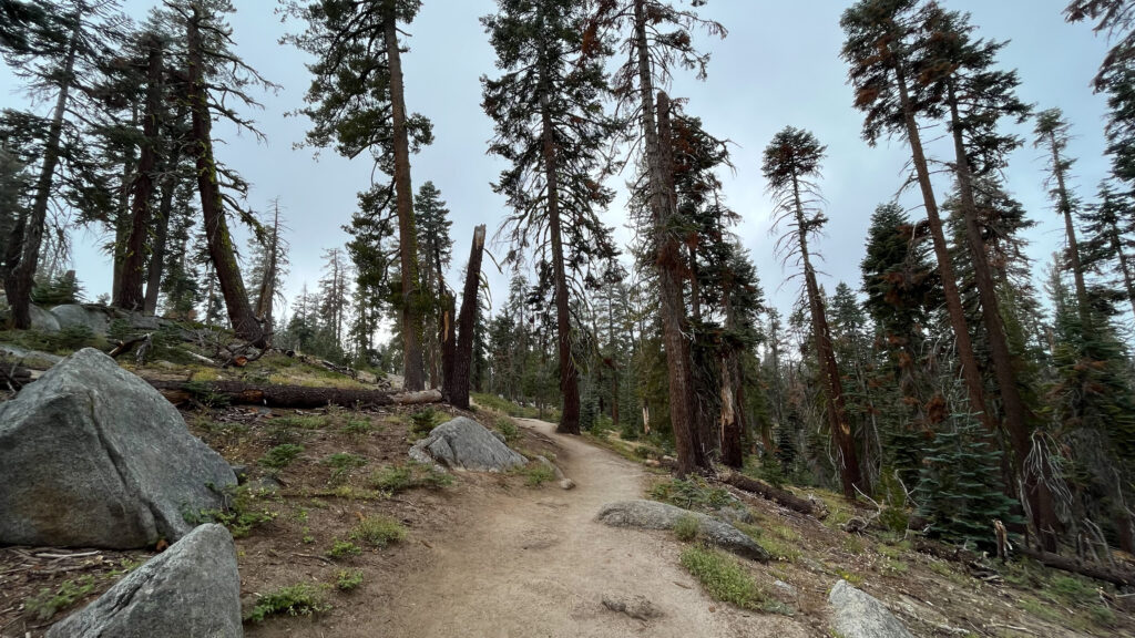 Taft Point Trail in Yosemite National Park 