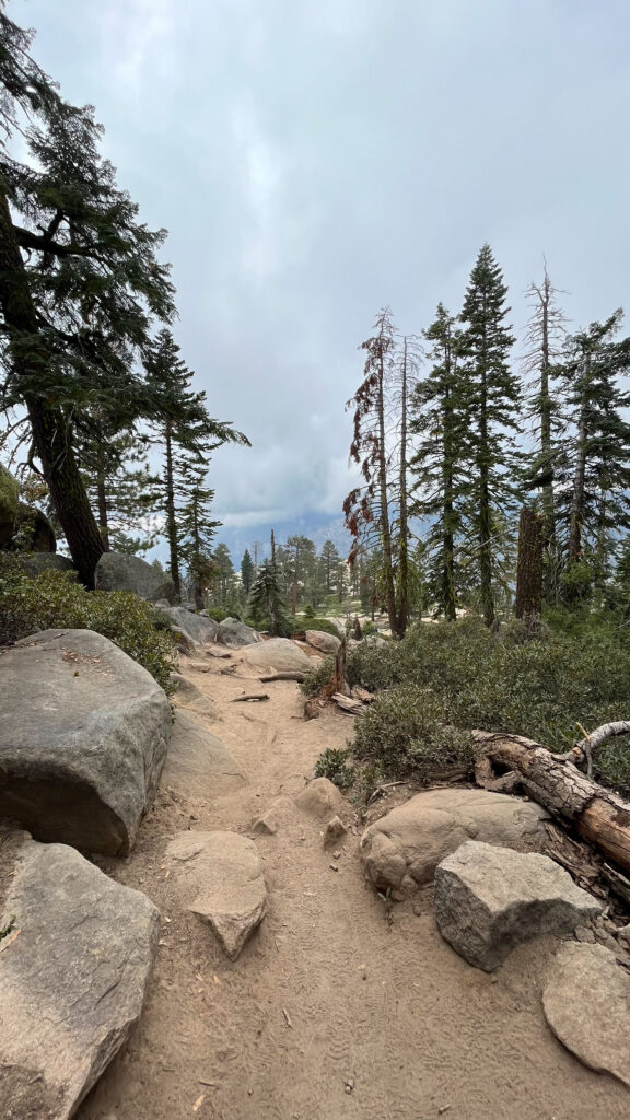 Taft Point Trail in Yosemite National Park 