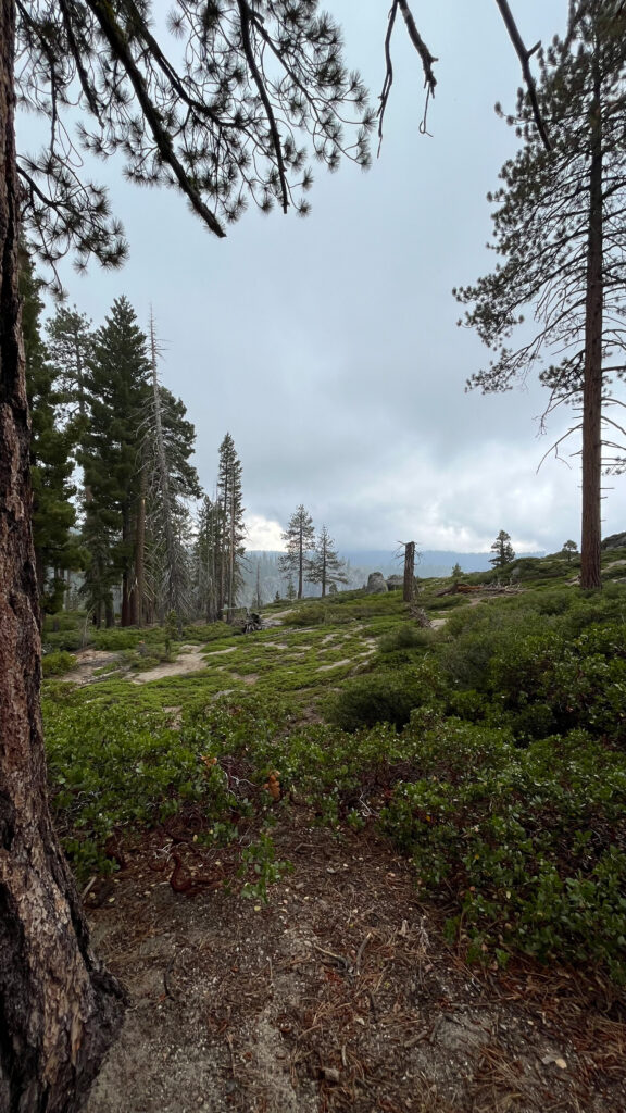 Taft Point, Yosemite National Park