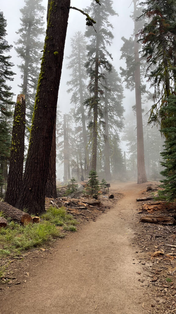 Heading back to our car from Taft Point on the Taft Point Trail in Yosemite National Park