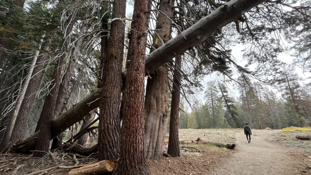 Heading back to our car from Taft Point on the Taft Point Trail in Yosemite National Park