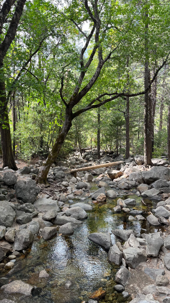 A peaceful creek along Bridalveil Fall Trail in Yosemite National Park