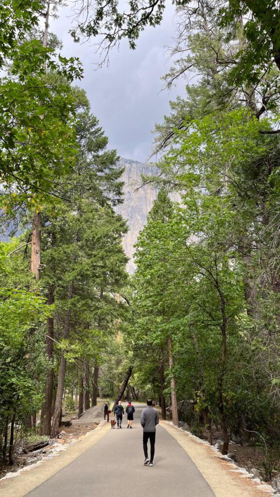 Heading back to our car (Bridalveil Fall Trail in Yosemite National Park)