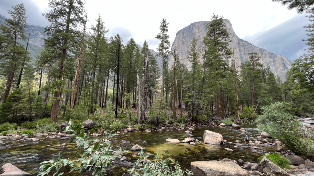 A view of El Capitan from a pullover on Southside Drive about a two minute drive down the road from the parking for Bridalveil Fall Trail