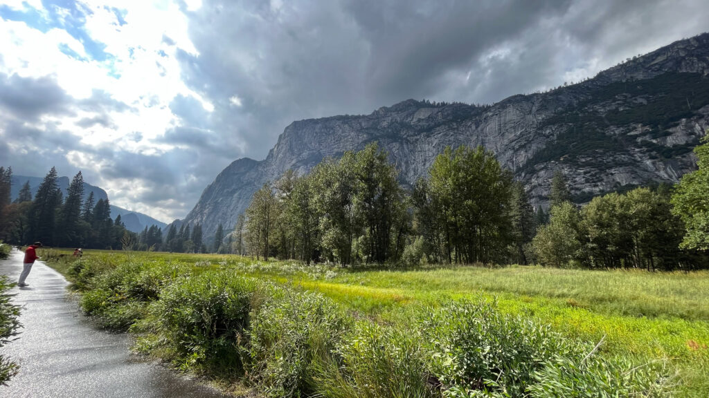 This was about a three minute walk from where the photo directly above this one was taken (Yosemite Valley in Yosemite National Park)