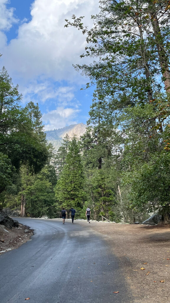 The part of Mirror Lake trail that leads to Mirror Lake is a paved service road. (In Yosemite Valley in Yosemite National Park)