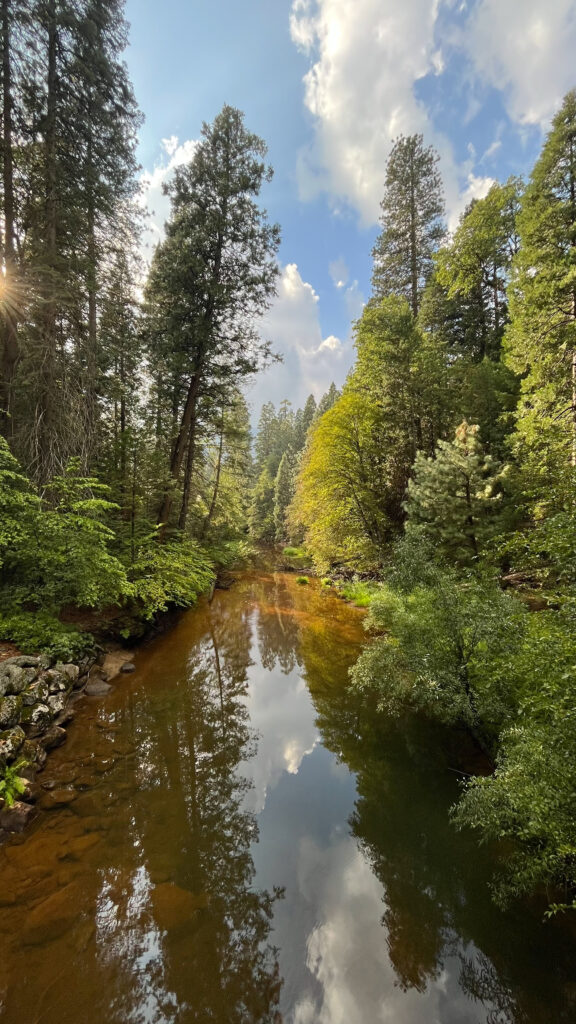 View from the bridge in the photo directly above this one (on Mirror Lake Trail in Yosemite Valley in Yosemite National Park)