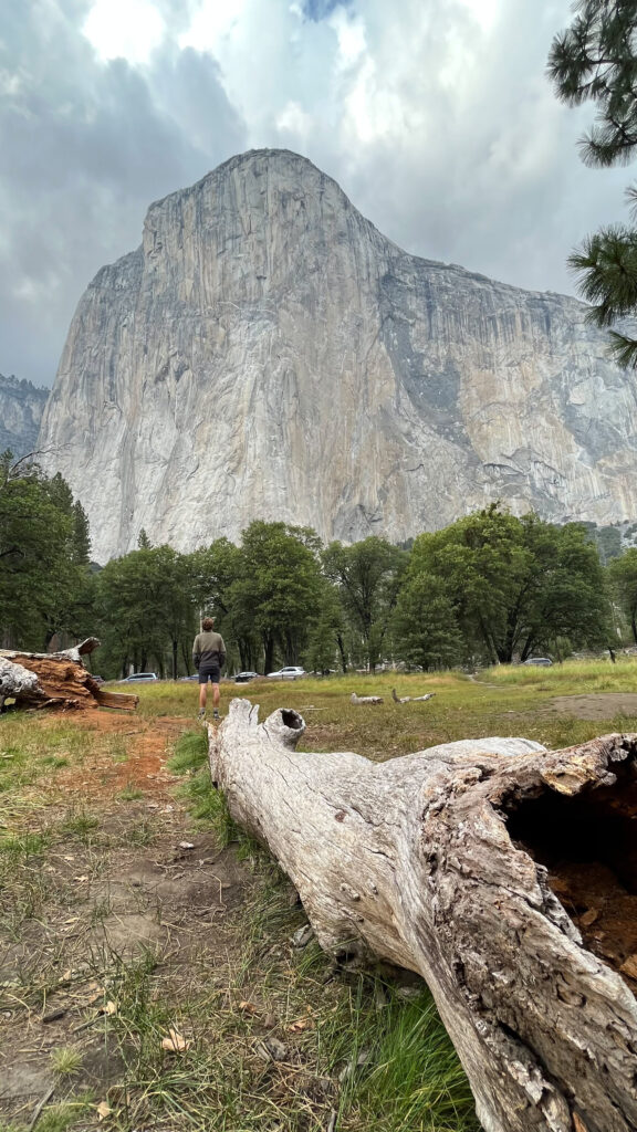 View of El Capitan from El Capitan Meadow in Yosemite Valley in Yosemite National Park