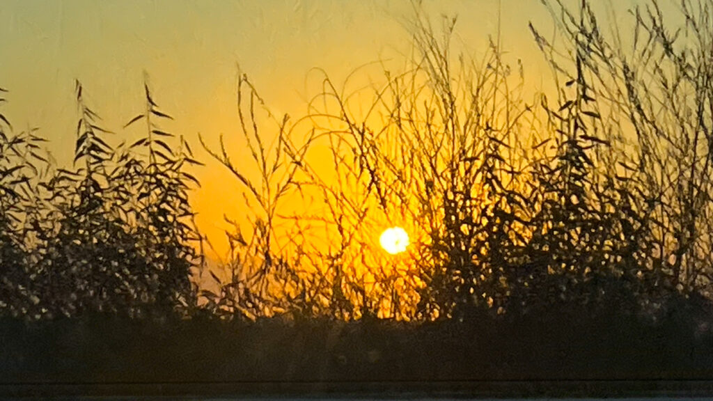 The sun setting as we drove Highway 5 to our motel in Red Bluff, CA