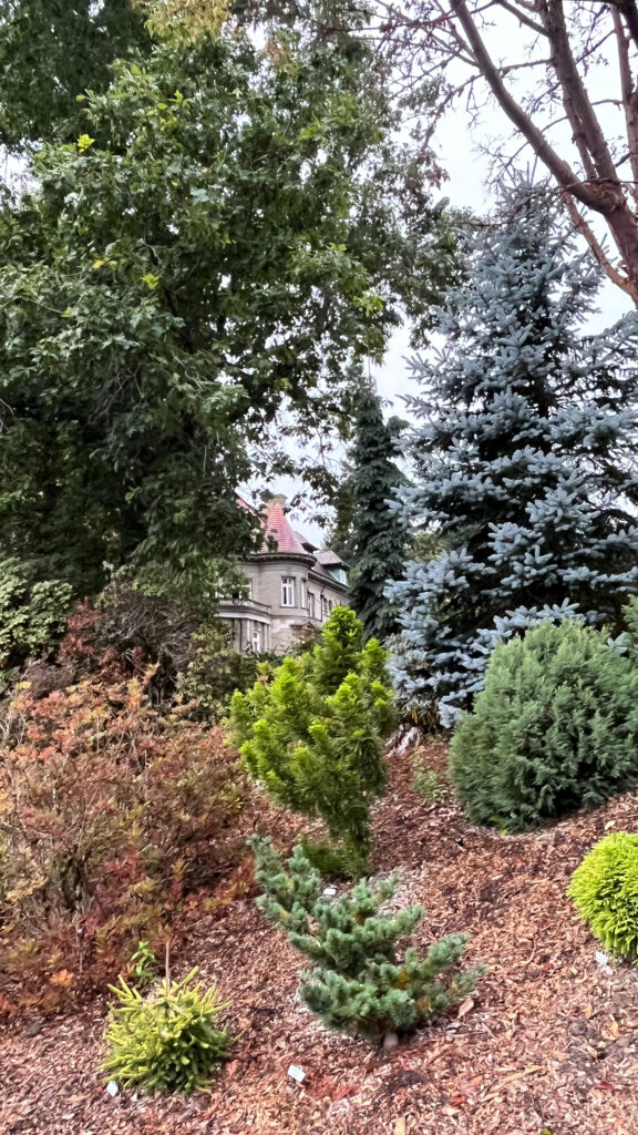 From the the grounds we could see Pittock Mansion tucked away behind the trees (Portland, OR)